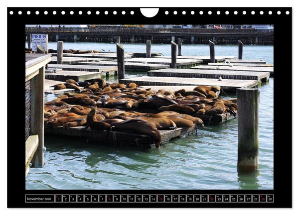Produktbild: Wunderbares San Francisco (Wandkalender 2026 DIN A4 quer), CALVENDO Monatskalender