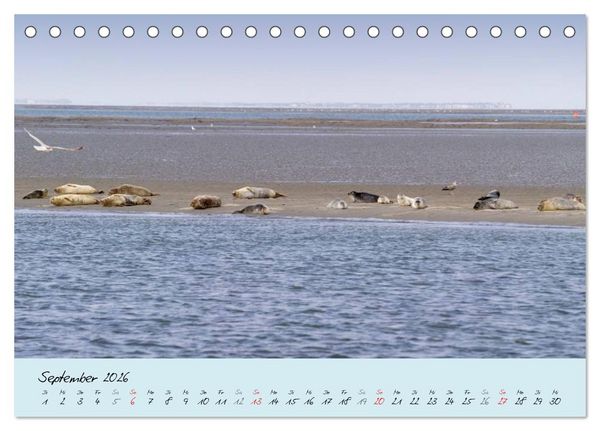 Produktbild: Nordsee &ndash; D&uuml;nen, Sand, Wasser und Wolken (Tischkalender 2026 DIN A5 quer), CALVENDO Monatskalender