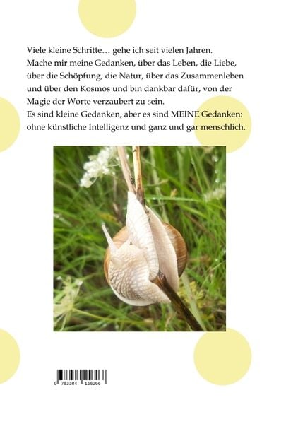 Produktbild: Viele kleine Schritte...