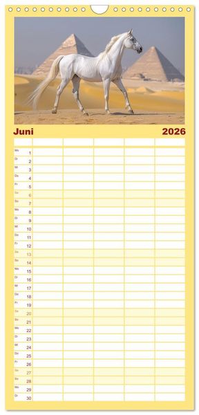 Produktbild: Familienplaner 2026 - Bezaubernde Eleganz wei&szlig;er Pferde mit 5 Spalten (Wandkalender, 21 x 45 cm) CALVENDO