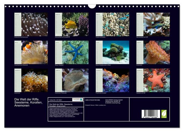 Produktbild: Die Welt der Riffe. Seesterne, Korallen, Anemonen (Wandkalender 2026 DIN A3 quer), CALVENDO Monatskalender