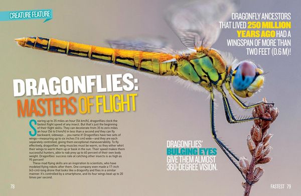 Produktbild: National Geographic Kids Extreme Records