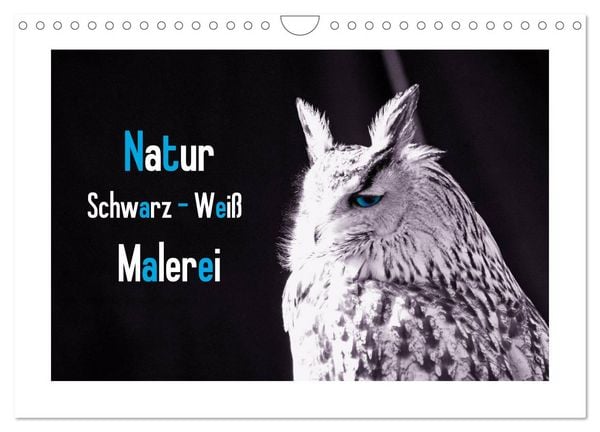Produktbild: Natur schwarz - wei&szlig; Malerei (Wandkalender 2026 DIN A4 quer), CALVENDO Monatskalender