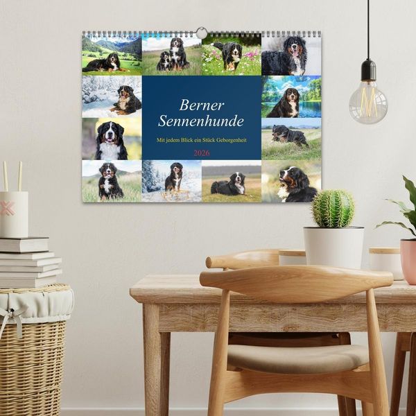 Produktbild: Berner Sennenhunde - Mit jedem Blick ein St&uuml;ck Geborgenheit (Wandkalender 2026 DIN A3 quer), CALVENDO Monatskalender
