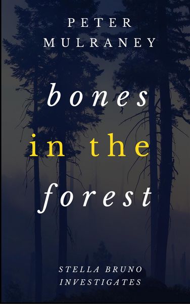 Produktbild: Bones in the Forest (Stella Bruno Investigates, #3)