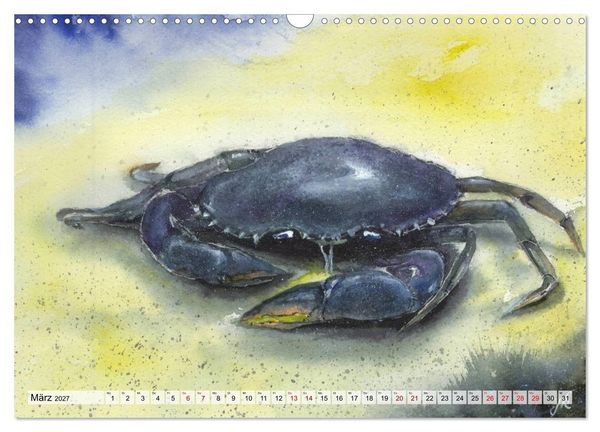 Produktbild: Die Meereswelt in Aquarell (Wandkalender 2027 DIN A3 quer), CALVENDO Monatskalender