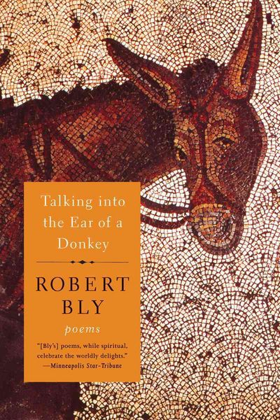 Produktbild: Talking Into the Ear of a Donkey