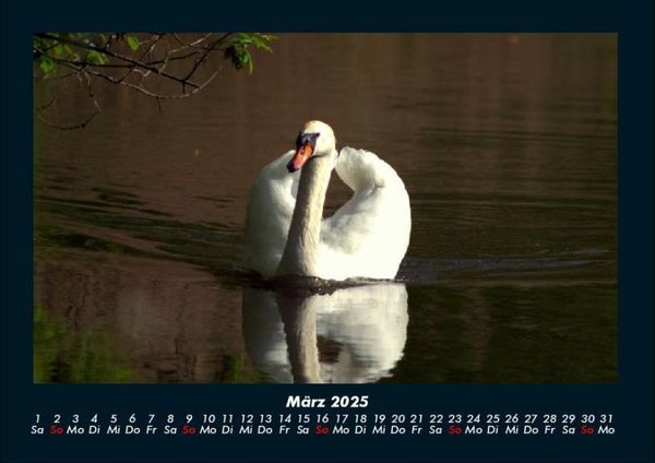 Produktbild: Tag am See 2025 Fotokalender DIN A4