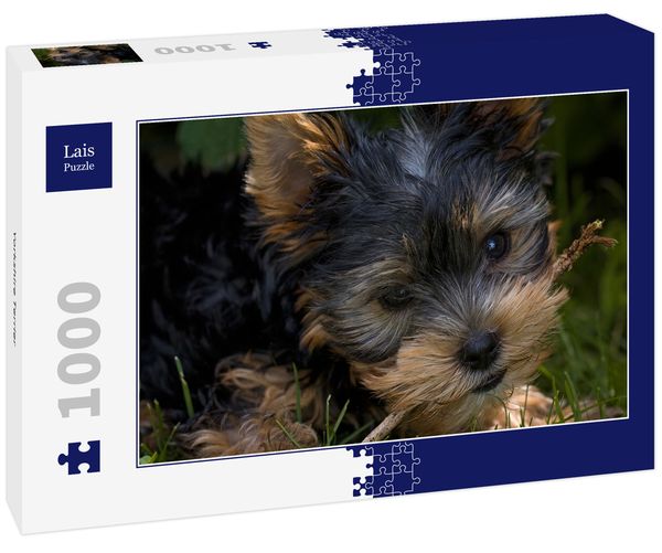 Produktbild: Lais Puzzle Yorkshire Terrier 1000 Teile