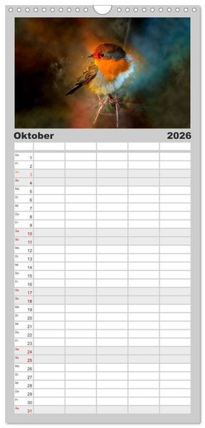 Produktbild: Familienplaner 2026 - Bei uns im Garten - Rotkehlchen mit 5 Spalten (Wandkalender, 21 x 45 cm) CALVENDO