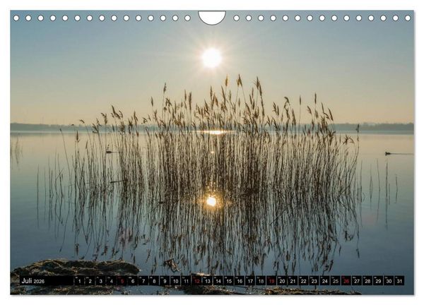 Produktbild: Immer wieder Sonnenschein (Wandkalender 2026 DIN A4 quer), CALVENDO Monatskalender