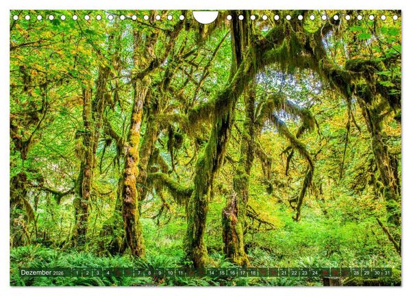Produktbild: Atemberaubendes Amerika - Die sch&ouml;nsten Nationalparks im Westen der USA (Wandkalender 2026 DIN A4 quer), CALVENDO Monatskalender