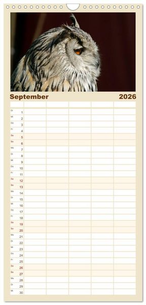 Produktbild: Familienplaner 2026 - Eulen. Gefiederte Weisheit mit 5 Spalten (Wandkalender, 21 x 45 cm) CALVENDO