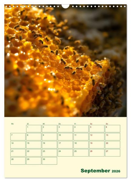 Produktbild: Bienenblick &ndash; Ein Jahr mit den Bienen (Wandkalender 2026 DIN A3 hoch), CALVENDO Monatskalender