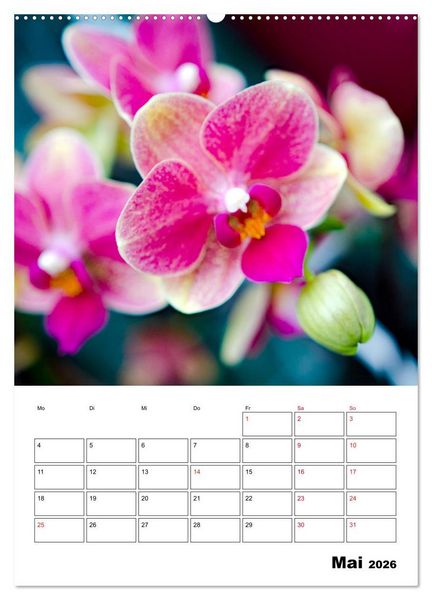 Produktbild: Orchideen - Tropische Sch&ouml;nheiten (Wandkalender 2026 DIN A2 hoch), CALVENDO Monatskalender