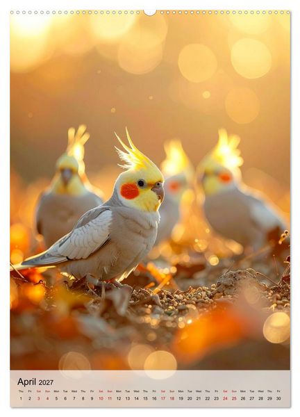 Produktbild: Cockatiel Dreams (Wall Calendar 2027 DIN A2 portrait), CALVENDO 12 Month Wall Calendar
