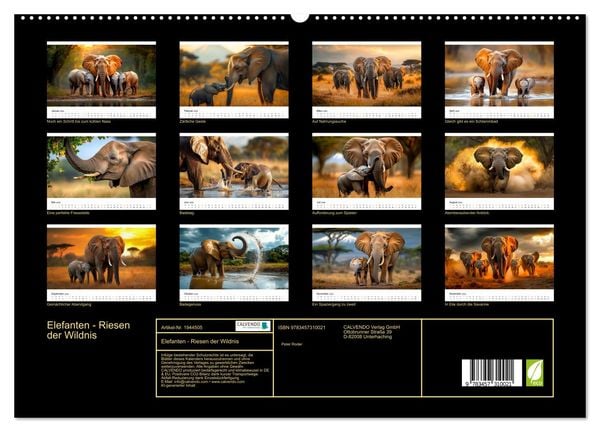 Produktbild: Elefanten - Riesen der Wildnis (hochwertiger Premium Wandkalender 2026 DIN A2 quer), Kunstdruck in Hochglanz