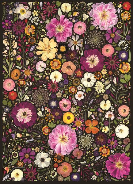 Produktbild: COBBLE HILL PUZZLES - Bl&uuml;tenpresse: Zierblumen 500 Teile