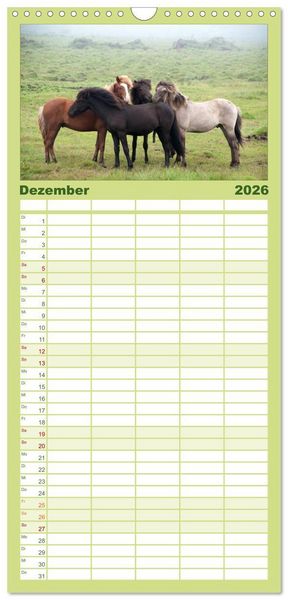 Produktbild: Familienplaner 2026 - Charakterk&ouml;pfe Islandpferde mit 5 Spalten (Wandkalender, 21 x 45 cm) CALVENDO