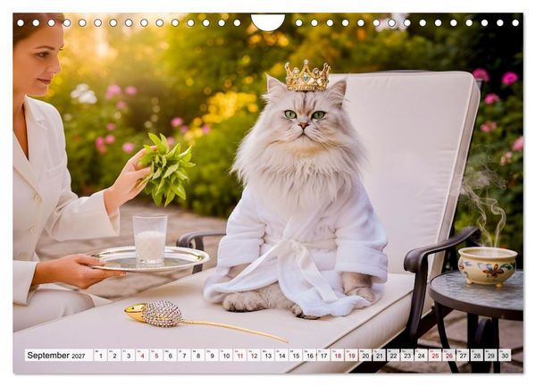 Produktbild: Alles f&uuml;r die Katze - Herrschaft Deluxe mit Charme und Wellness (Wandkalender 2027 DIN A4 quer), CALVENDO Monatskalender