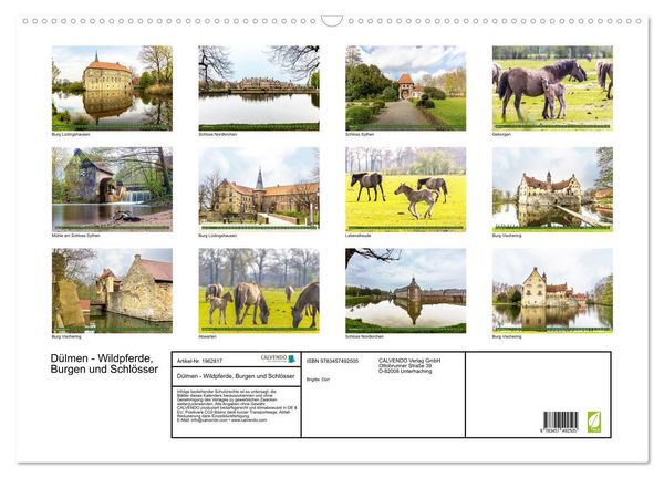 Produktbild: D&uuml;lmen - Wildpferde, Burgen und Schl&ouml;sser (Wandkalender 2026 DIN A2 quer), CALVENDO Monatskalender