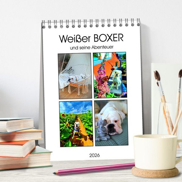 Produktbild: Wei&szlig;er BOXER (Tischkalender 2026 DIN A5 hoch), CALVENDO Monatskalender