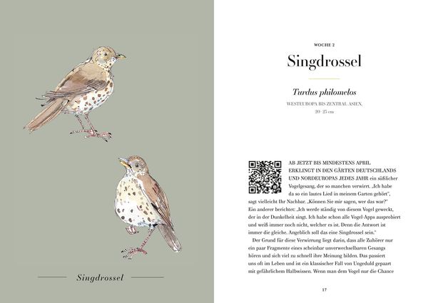 Produktbild: Der Gesang der V&ouml;gel