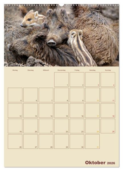 Produktbild: Wildschweine (hochwertiger Premium Wandkalender 2026 DIN A2 hoch), Kunstdruck in Hochglanz