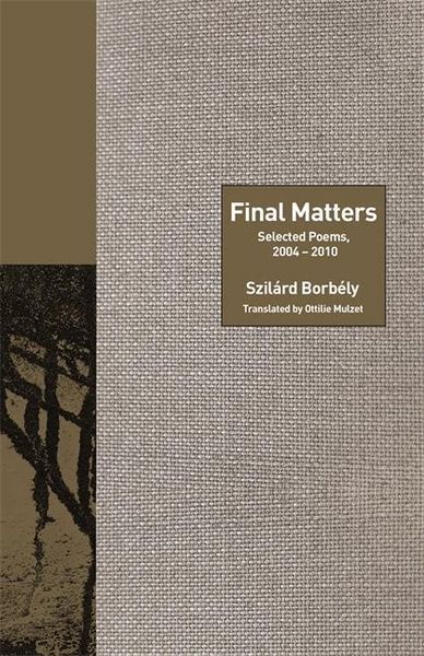 Produktbild: Borbely, S: Final Matters