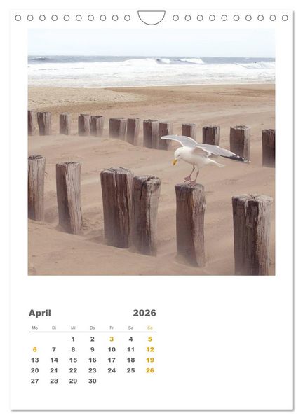 Produktbild: Hollands Strandparadies Zeeland (Wandkalender 2026 DIN A4 hoch), CALVENDO Monatskalender