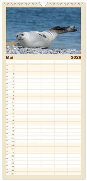 Produktbild: Familienplaner 2026 - Das Leben der Robben mit 5 Spalten (Wandkalender, 21 x 45 cm) CALVENDO