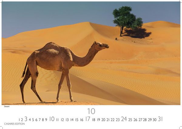 Produktbild: Dubai/Abu Dhabi Kalender 2027 &ndash; Wandkalender | Fotokalender Orient 24x35 cm - . mit atemberaubenden Bildern &ndash; Perfekt f&uuml;r Dubai Fans & Reiseliebhaber