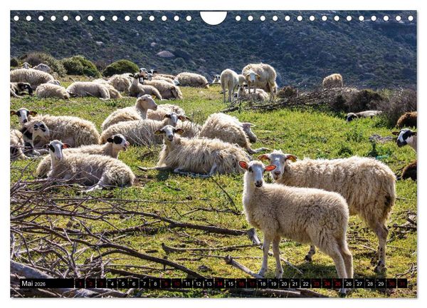 Produktbild: Ostkreta - Zwischen Sitia und Ierapetra (Wandkalender 2026 DIN A4 quer), CALVENDO Monatskalender