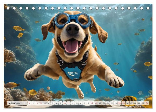 Produktbild: Hunde abgetaucht (Tischkalender 2026 DIN A5 quer), CALVENDO Monatskalender