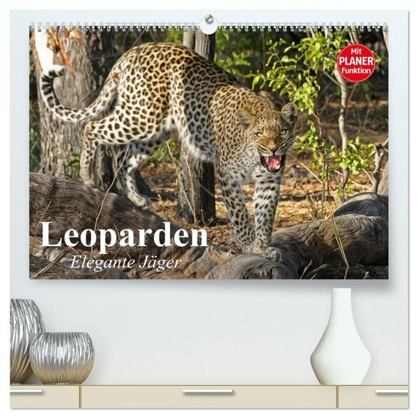 Produktbild: Leoparden. Elegante J&auml;ger (hochwertiger Premium Wandkalender 2026 DIN A2 quer), Kunstdruck in Hochglanz