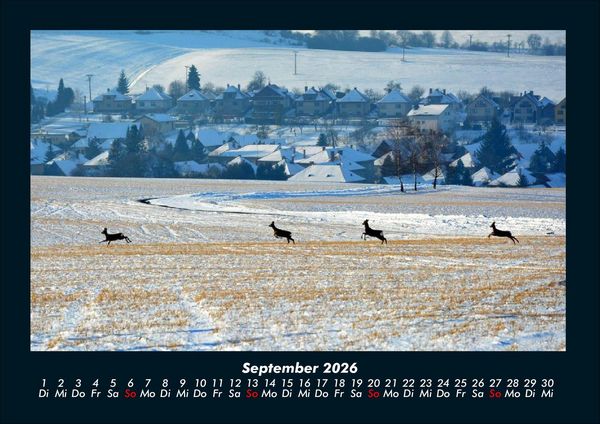 Produktbild: Blick in die Natur 2026 Fotokalender DIN A4
