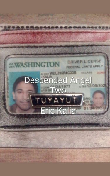 Produktbild: Descended Angel Book Two