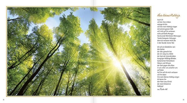 Produktbild: Nach dem Dunkel kommt ein neuer Morgen