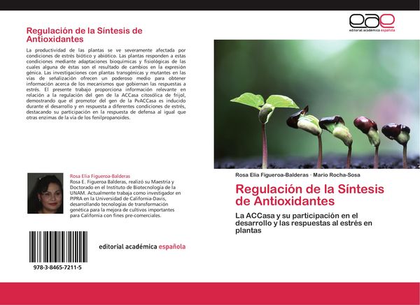 Produktbild: Regulaci&oacute;n de la S&iacute;ntesis de Antioxidantes