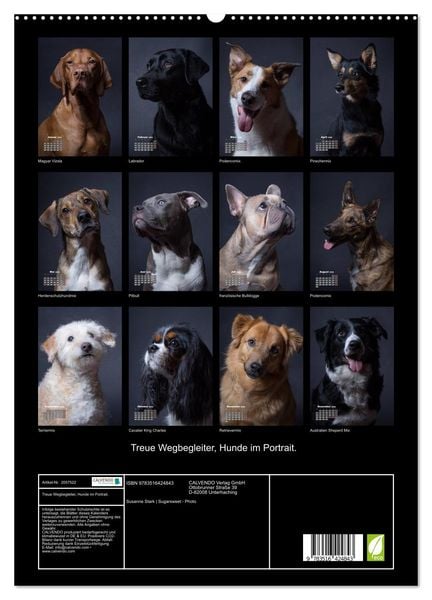 Produktbild: Treue Wegbegleiter, Hunde im Portrait. (hochwertiger Premium Wandkalender 2026 DIN A2 hoch), Kunstdruck in Hochglanz