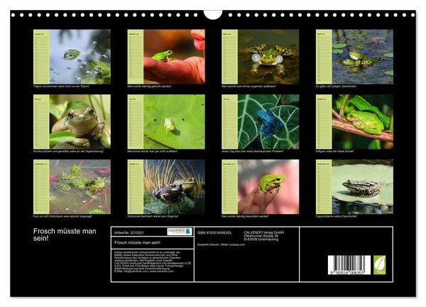 Produktbild: Frosch m&uuml;sste man sein! (Wandkalender 2026 DIN A3 quer), CALVENDO Monatskalender