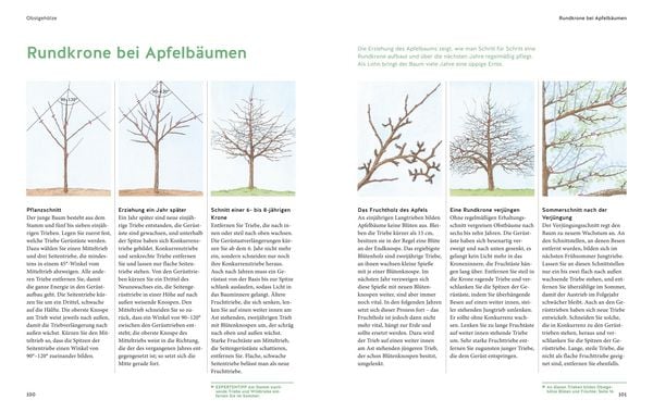 Produktbild: Pflanzenschnitt