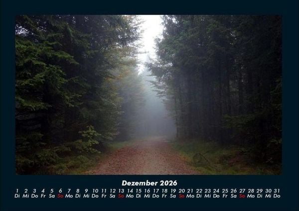 Produktbild: Waldzauber 2026 Fotokalender DIN A4