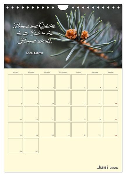 Produktbild: Gartenliebe (Wandkalender 2026 DIN A4 hoch), CALVENDO Monatskalender