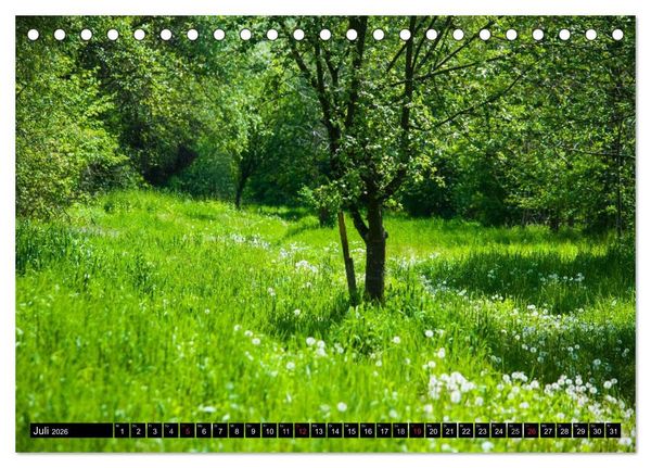 Produktbild: Geheime Ecken der Steiermark (Tischkalender 2026 DIN A5 quer), CALVENDO Monatskalender