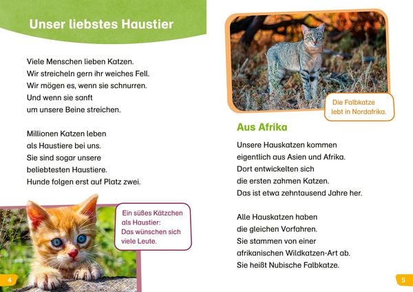 Produktbild: WAS IST WAS Erstes Lesen easy! Katzen - meine Lieblingstiere