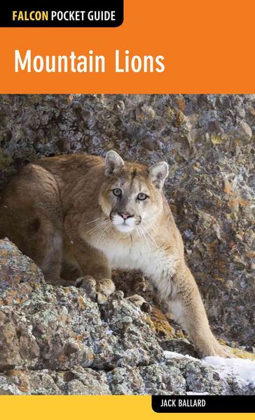 Produktbild: Mountain Lions