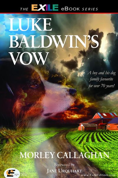 Produktbild: Luke Baldwin's Vow