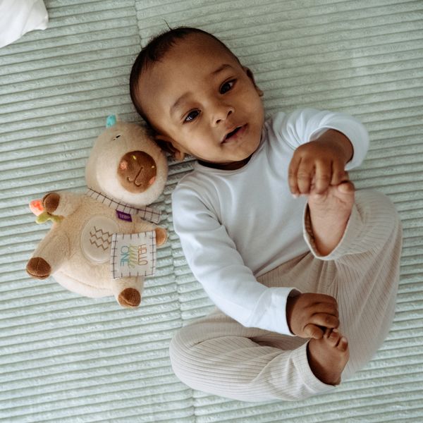 Produktbild: Kuscheltier Capybara Hello little One"
