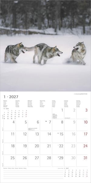 Produktbild: W&ouml;lfe 2027